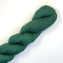 Load image into Gallery viewer, Nurturing Fibres SuperTwist Sock in Hunter