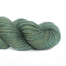 Load image into Gallery viewer, Nurturing Fibres SuperTwist Sock in Cedar