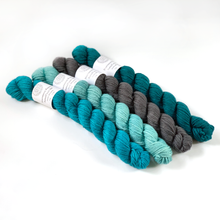 Load image into Gallery viewer, Nurturing Fibres | SuperTwist DK Yarn: 50 g 100% Merino Wool