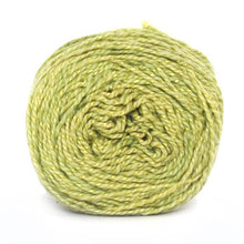 Load image into Gallery viewer, Nurturing Fibres Eco-Fusion Yarn in Pear