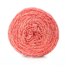Load image into Gallery viewer, Nurturing Fibres Eco-Fusion Yarn in Pickled Ginger