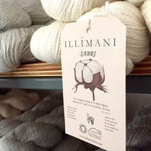 Load image into Gallery viewer, Illimani's Sabri Yarn on the shelf at The Yarn Room