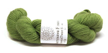 Load image into Gallery viewer, Nurturing Fibres SuperTwist Sock in Nori