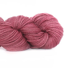 Load image into Gallery viewer, Nurturing Fibres SuperTwist Sock in Odette