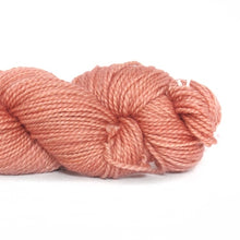 Load image into Gallery viewer, Nurturing Fibres SuperTwist Sock in Quince