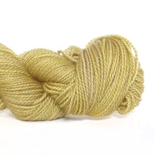 Load image into Gallery viewer, Nurturing Fibres SuperTwist Sock in Straw