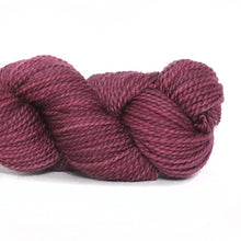 Load image into Gallery viewer, Nurturing Fibres SuperTwist Sock in Vintage Rose