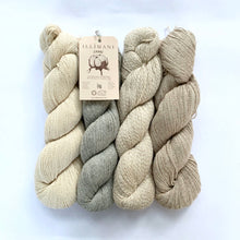 Load image into Gallery viewer, Illimani&#39;s Sabri Yarn, 4 full skeins